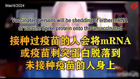 Vaccinated persons will be shedding of either mRNA or vaccine Spike protein onto the unvaccinated!