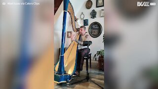 Have you ever heard rock played on a harp?