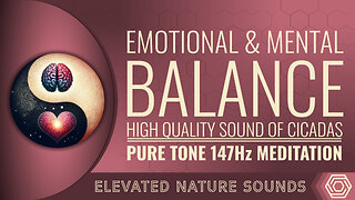 147Hz Emotional and Mental Balance Meditation with HQ Sound of Cicadas