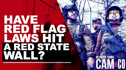 Have Red Flag Laws Hit A Red State Wall?