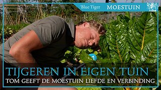 Tijgeren in eigen Tuin: in gesprek met de planten