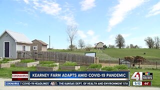 Kearney farm adapts amid COVID-19 pandemic