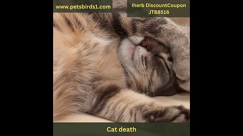 Cat dying symptoms | Causes of cat death #pets_birds #cat_death