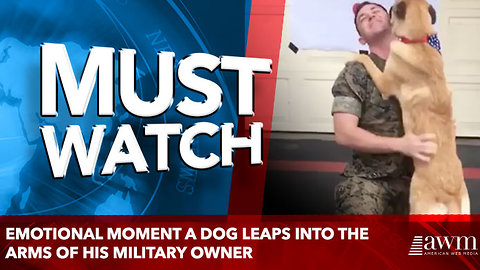 Emotional moment a dog leaps into the arms of his military owner