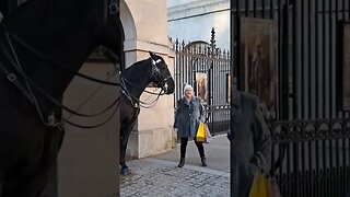 Horse bites her coat #horseguardsparade