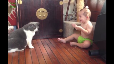 Funny Babies Laughing At Cats Compilation