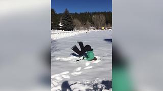 "Hilarious Backflip Fail"