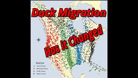 Duck Migration has it changed