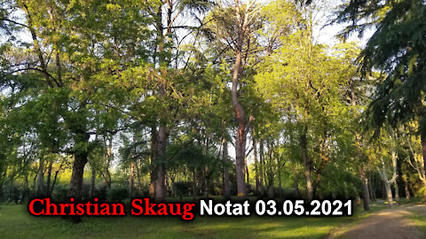 Skogpod med Christian 3. mai: En annen skog