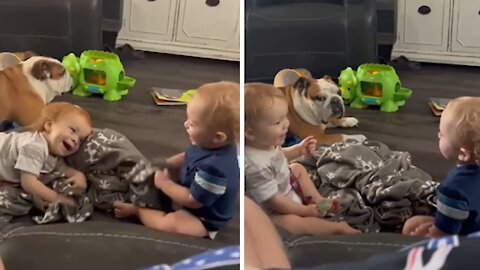 Twin Toddlers Preciously Communicate With Each Other