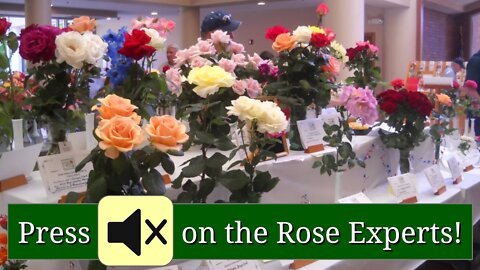 Beginners: Press [mute] on Rose Experts as You Learn the Hobby