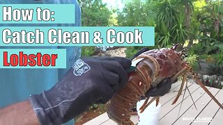 How to: Catch Clean and Cook Lobster