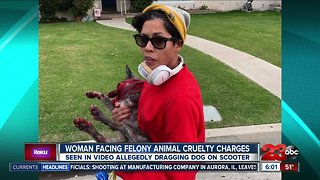 Woman facing felony animal cruelty charges