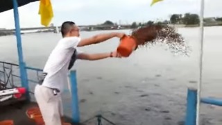 Epic Fish Feeding Frenzy