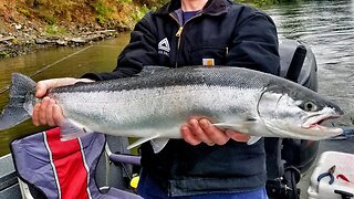 Small River Steelhead Tips and Tricks, IN-DEPTH Discussion!