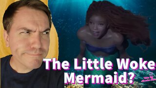 Disney's Little Woke Mermaid