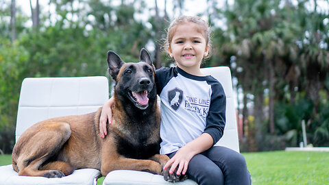 Training $70K Attack Dogs... With Our 4 Year-Old I BIG DOGZ