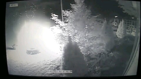 Decent Campfire Explosion Can't on CCTV