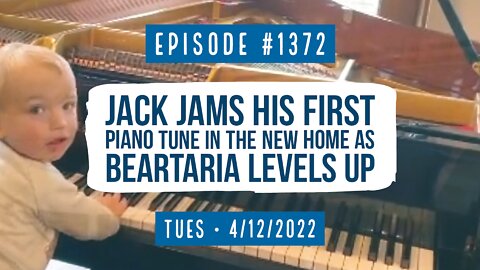 #1372 Jack Jams His First Piano Tune In The New Home As Beartaria Levels Up