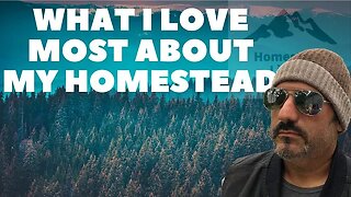 What I Love Most About My Homestead...