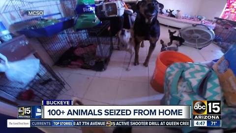 MCSO seizes 100+ animals in west Valley