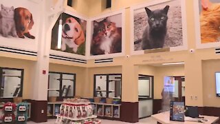 Peggy Adams Animal Rescue League unveils new pet adoption center