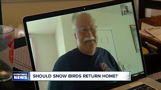 Should snow birds return home?