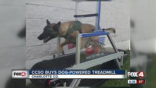 Canine units get a dog powered treadmill at the Charlotte County Sheriff's Office