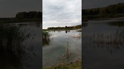 abends am See in Vydmantai Litauen #natur #litauen #lithuania #shorts