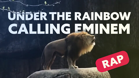 Under The Rainbow - Calling Eminem