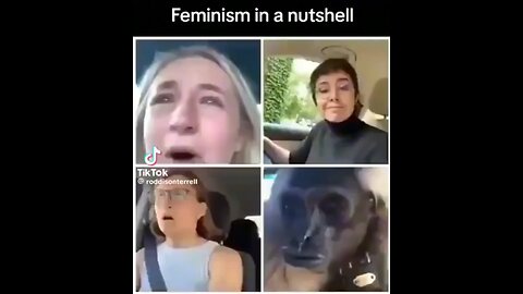 Feminist Meltdown