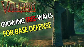 All About Trees (Defense, Growth Times, Seed Drops) - Valheim