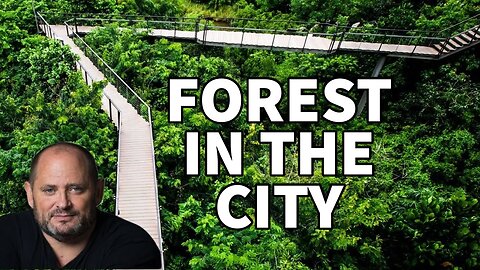The Forest In the City