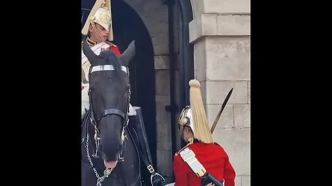 Move out of the way of the kings life guard #horseguardsparade