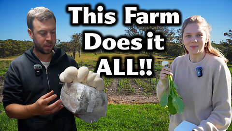 Superabundant Off-grid Regenerative Farm - Pasture Raised Eggs, Mushrooms, Market Garden and More!