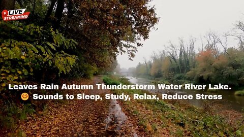 Leaves Rain Autumn Thunderstorm Water River Lake. 😊 Sounds to Sleep, Study, Relax, Reduce Stress
