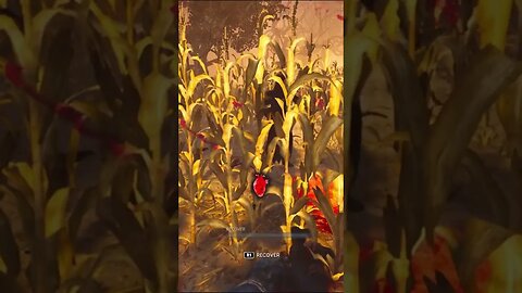 #shorts Ghost Face in the Cornfield