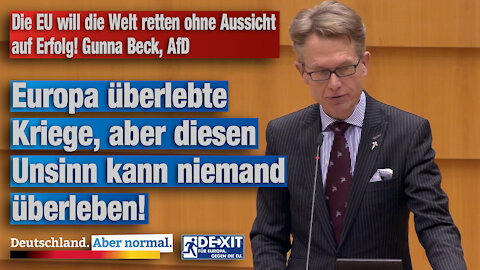 Die EU will die Welt retten ohne Aussicht auf Erfolg! Gunna Beck, AfD