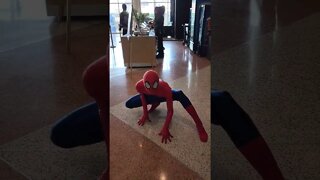 the best Spiderman Cosplay | Metrocon