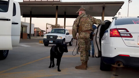 John on the Job Ep. 2: Military Working Dog Handler