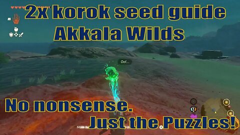 How to get 2x korok seed to partner guide - Akkala Wilds | Zelda TOTK