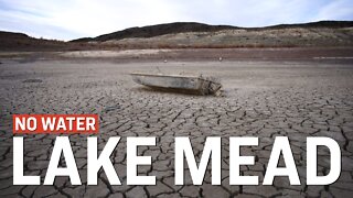 The 100-Year-Old ‘Political Scheme’ Behind the Lake Mead Disaster