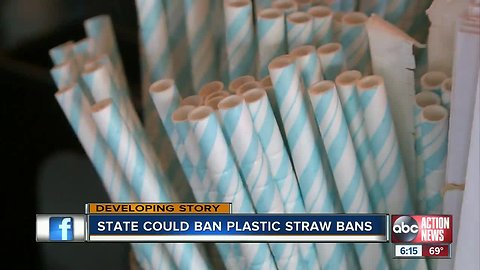 Florida lawmakers could ban cities from nixing plastic straws