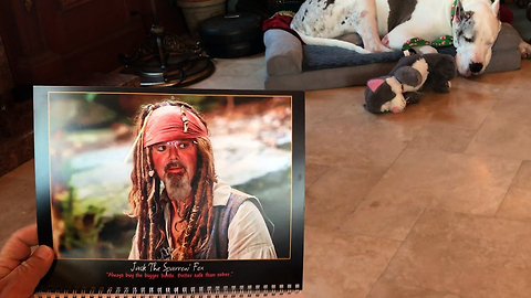 Personalized Calendar Has Friends Howling with Laughter