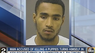 Man accused of killing 4 puppies turns himself in