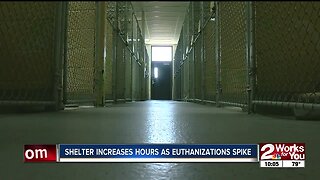 Shelter increases hours as euthanizations spike