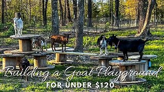 Building A Goat Playground for Under $120