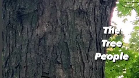 A Time of Reckoning is Upon Us⚡A Message from the Tree People