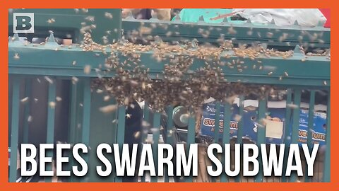 Take Cover! Bees Swarm New York City Subway Station Entrance