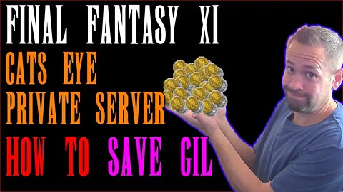 STOP Spending So Much Gil On Cat's Eye Private Server - How To Save Gil At The Auction House - FFXI